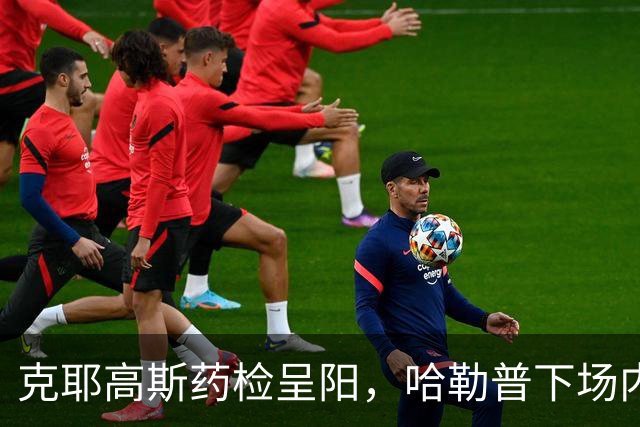 克耶高斯药检呈阳，哈勒普下场内涵，被嘲KARMA IS REAL!!!
