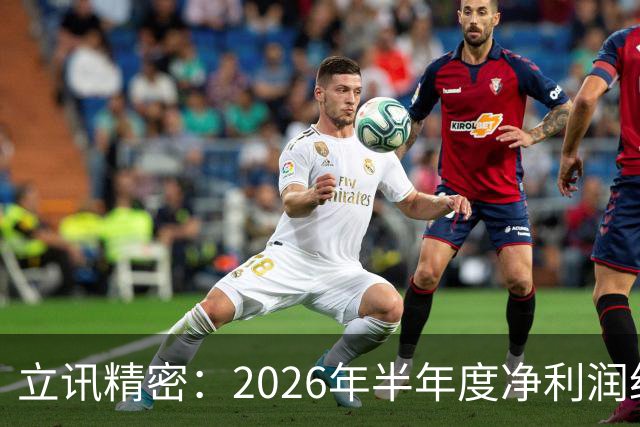 立讯精密：2026年半年度净利润约78.43亿元，同比增加18.04%